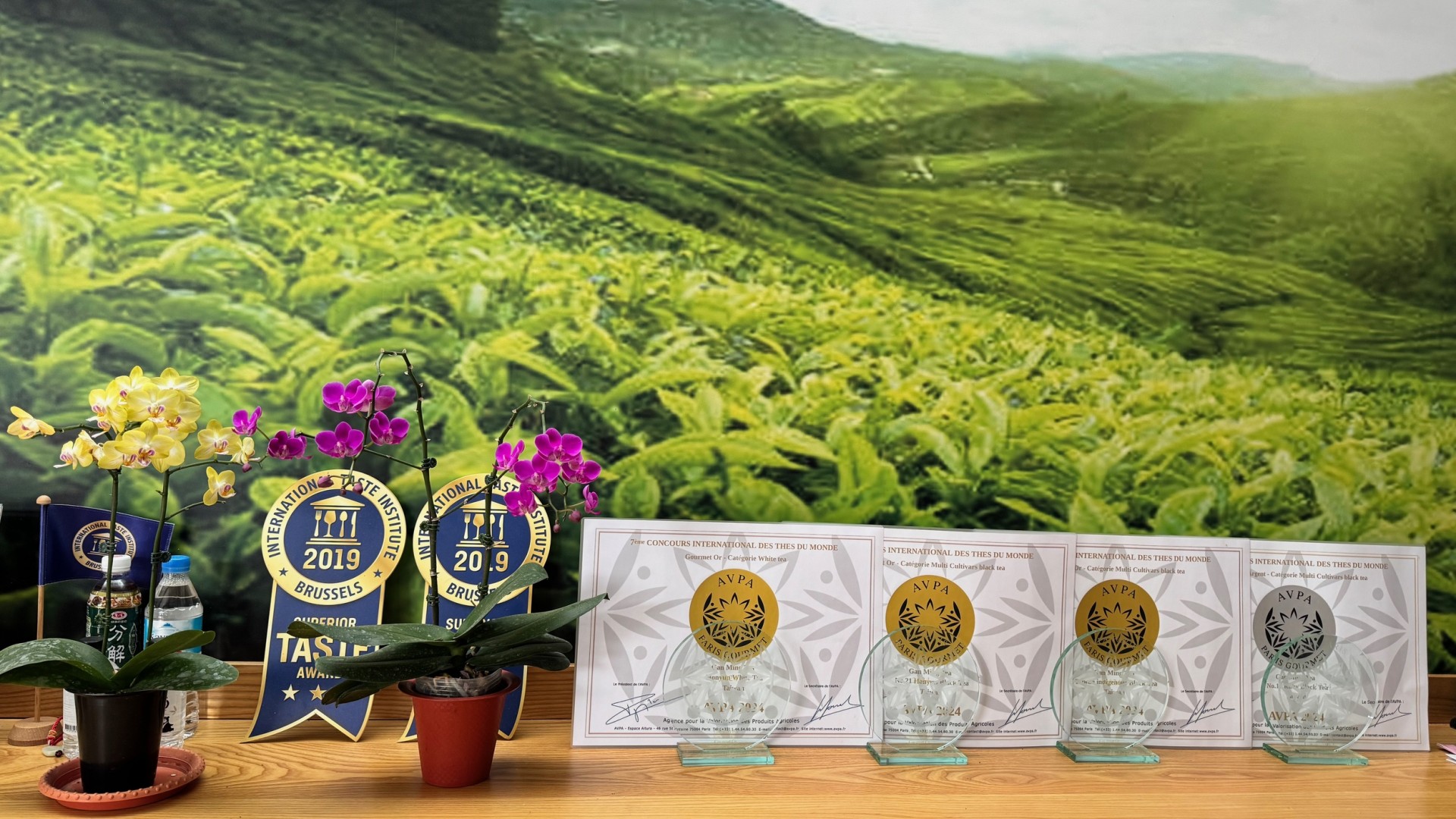 紅韻製茶過程